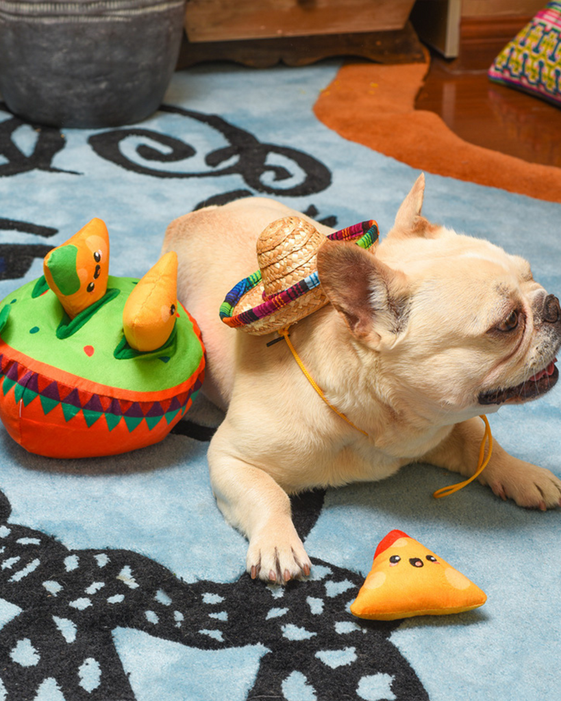 Fiesta Chewsday Nachos Nosework Dog Toy Play HUGSMART   