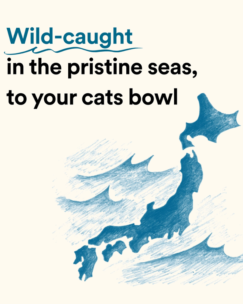 Wild Caught Umami Bonito Flakes for Cats & Dogs EAT BONITO HOUSE