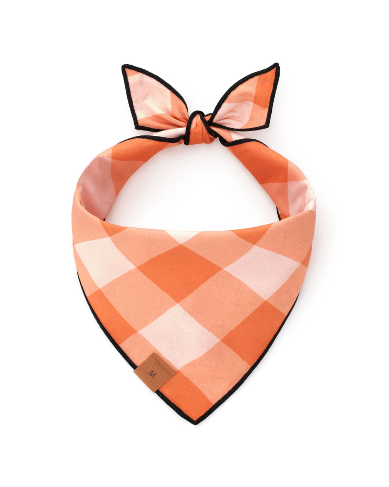 Jack-O-Lanterns Reversible Dog Bandana (Made in the USA) Wear THE FOGGY DOG