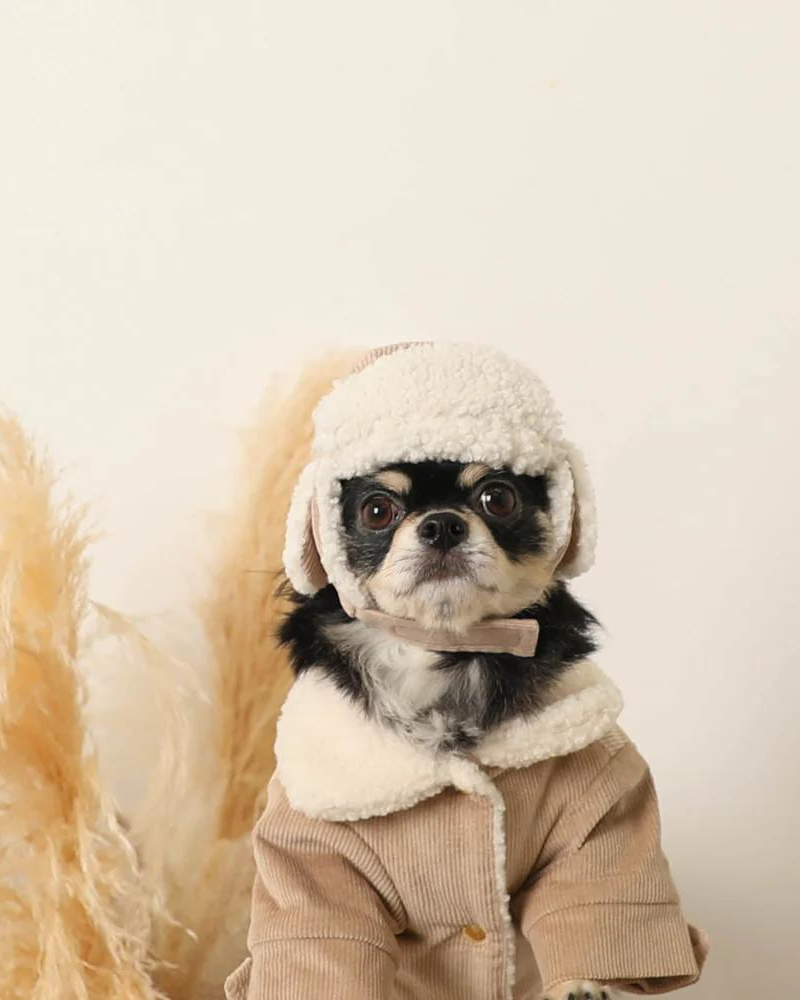 Corduroy Pet Flight Cap Wear MONCHERI   