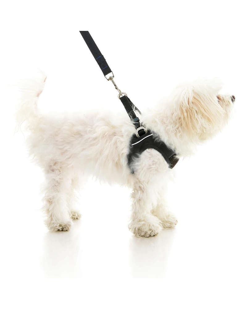 Escape-Free Easy Fit Dog Harness WALK GOOBY   