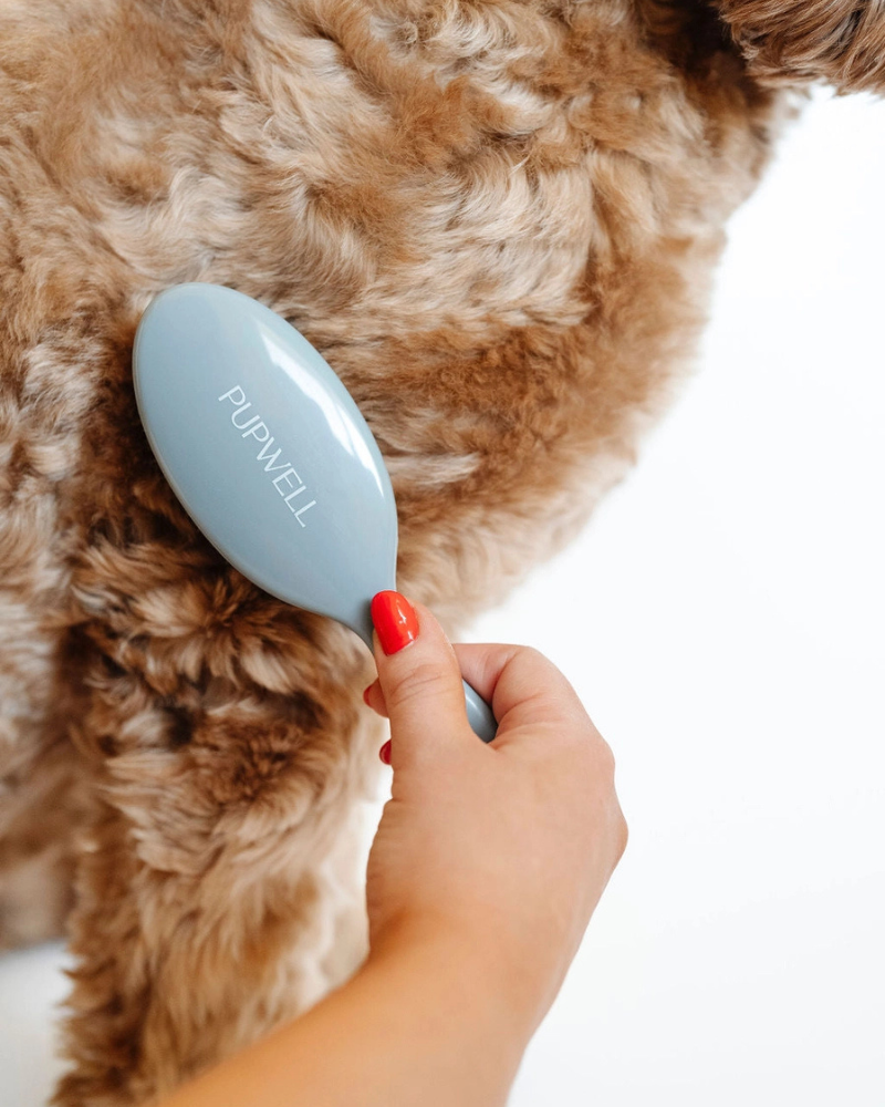 Gentle Detangling Dog Brush Clean PUPWELL