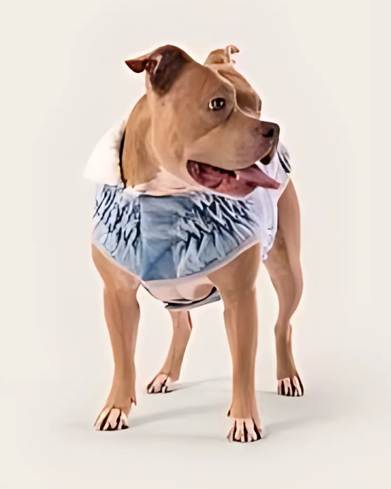 Northside Sherpa-Lined Denim Dog Jacket