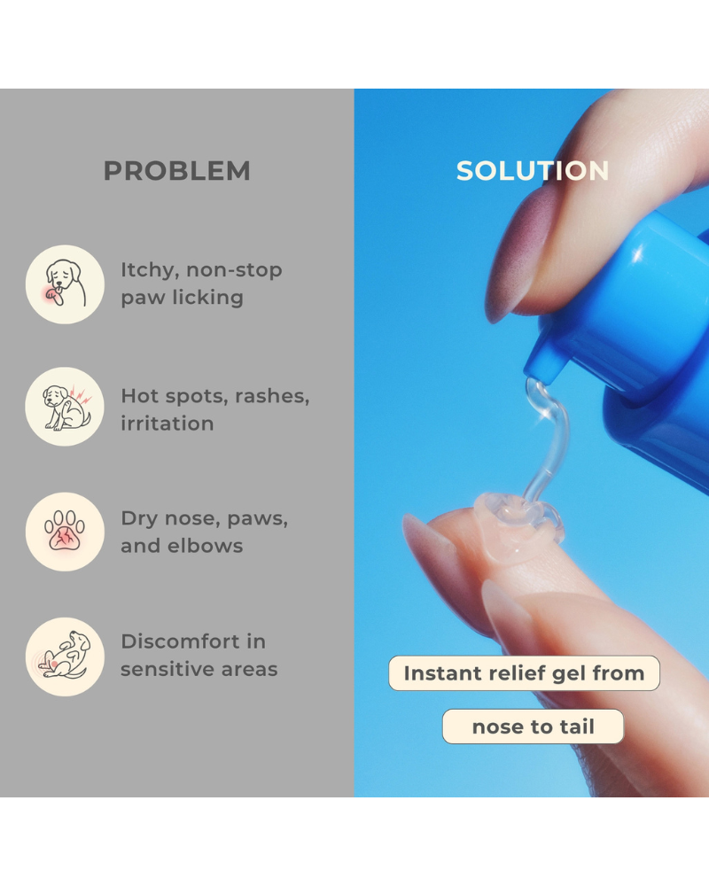 Pawfect Comfort Nose-to-Tail Soothing Jelly Serum for Dogs & Cats HOME PETORA