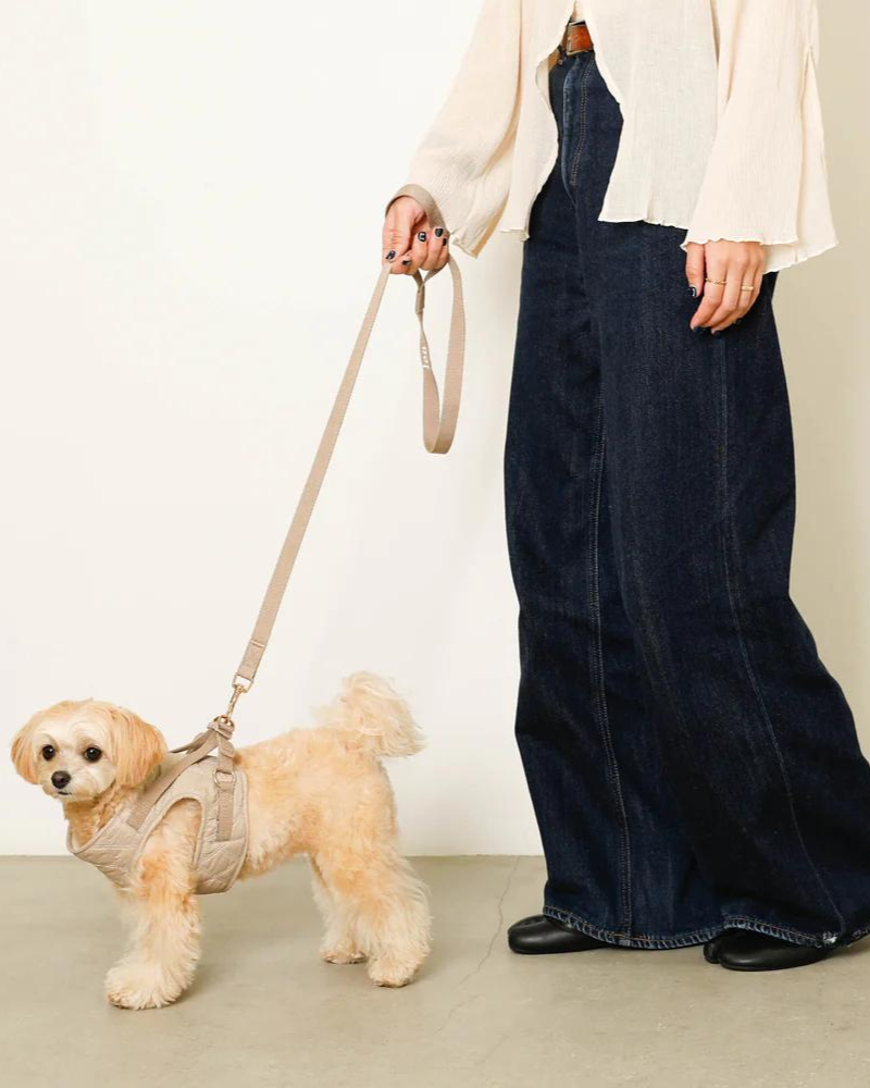 Quilted Puffer Dog Harness & Leash Set (FINAL SALE) WALK MONCHERI   