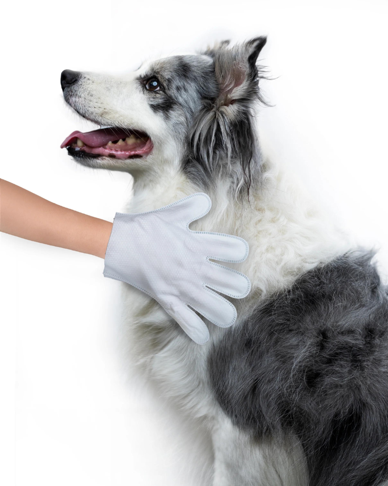 Pet Glove Wipes HOME INJOYA   