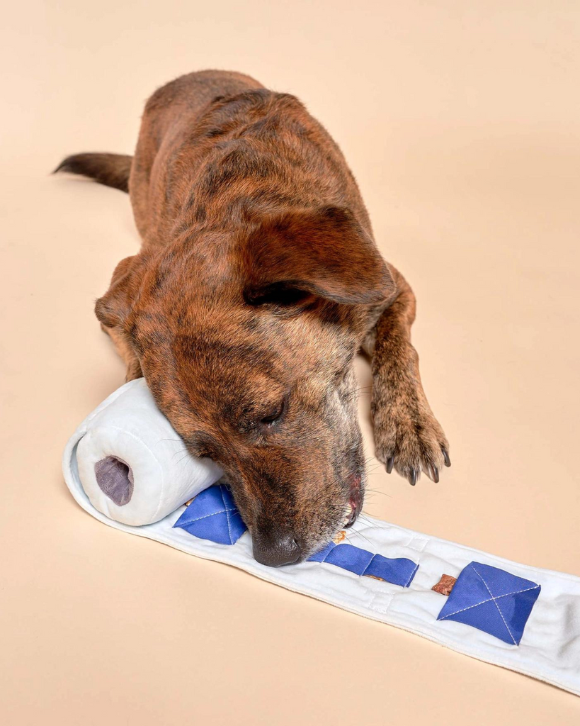 Plush toilet online paper dog toy