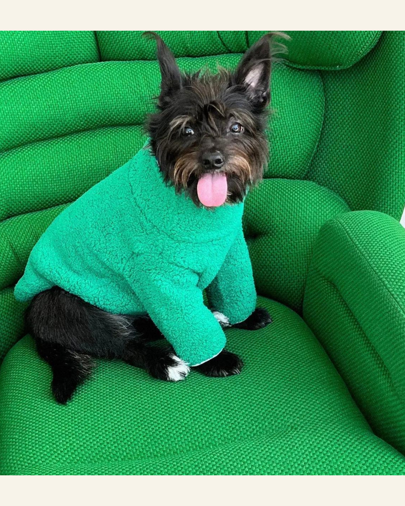 Mary Jane Fleece Dog Sweatshirt Wear LITTLE BEAST   