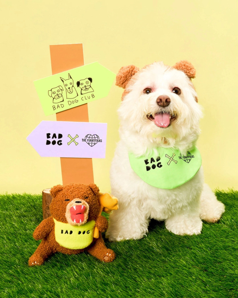 Bad Dog Bear Nosework Toy for Dogs Play THE FURRYFOLKS