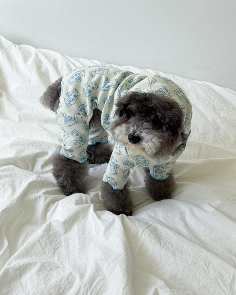All-In-One Sleeping Time Dog Onesie