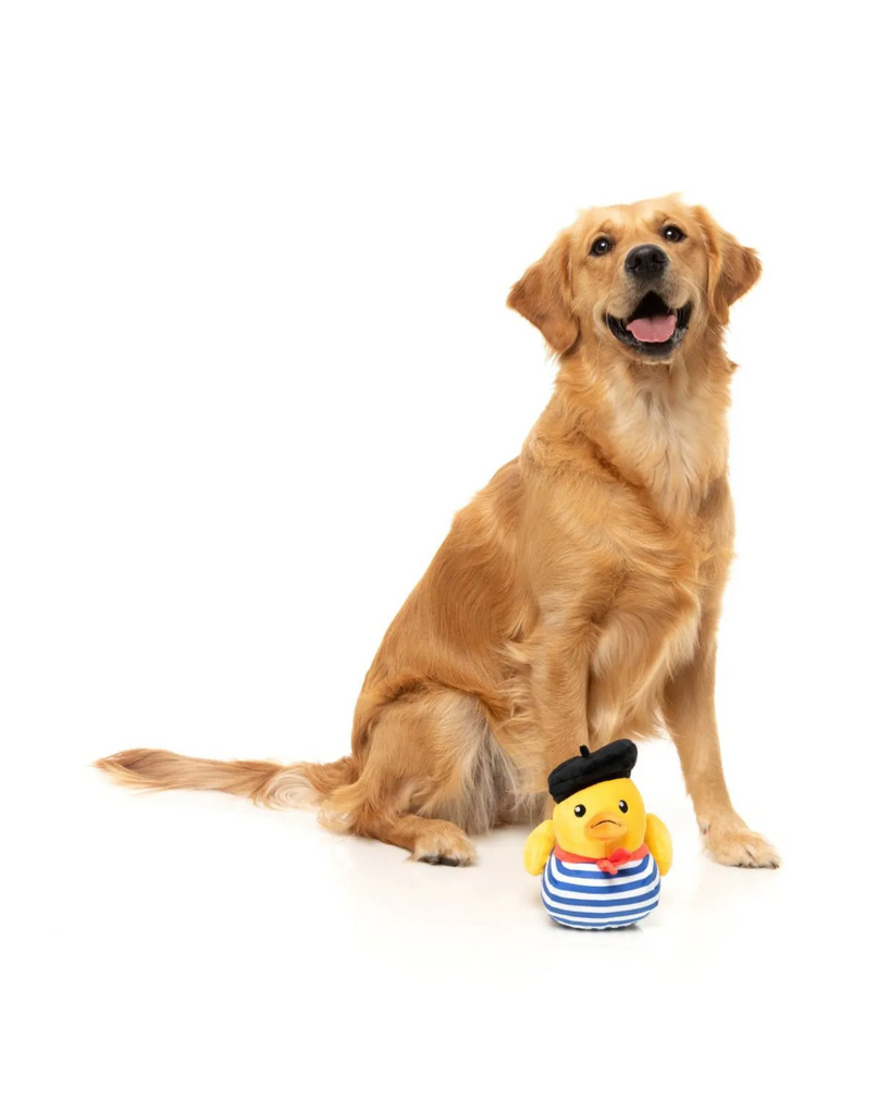 Timotheé Chalaquack Squeaky Plush Dog Toy PLAY FUZZYARD