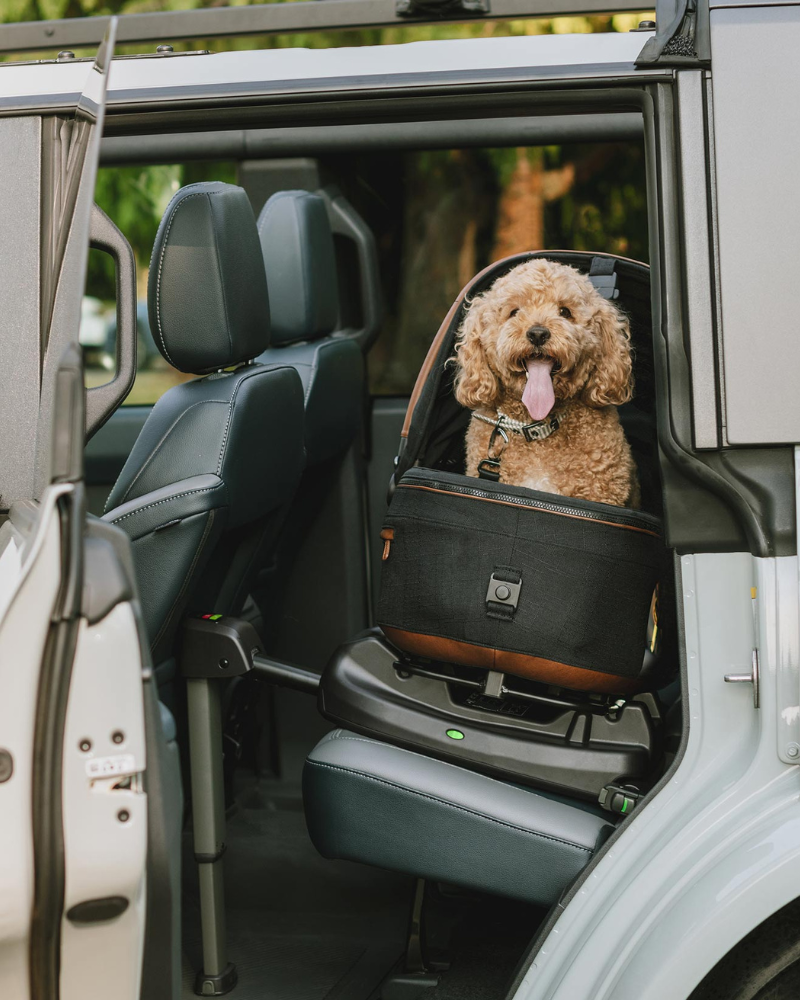 dog stroller and car seat TAVO PETS | Maeve™ ISO + Roscoe™ 3-in-1 Pet Stroller & Car Seat