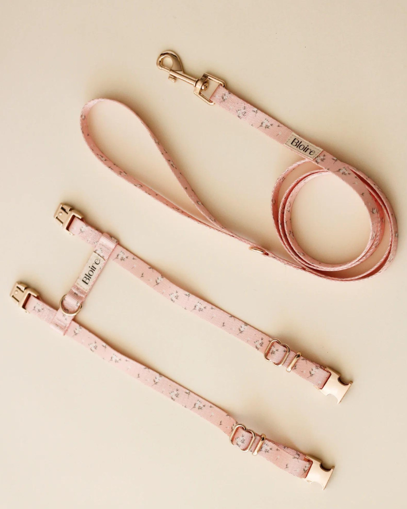 Meadow Matching Cat Harness & Leash Set WALK Bloire   