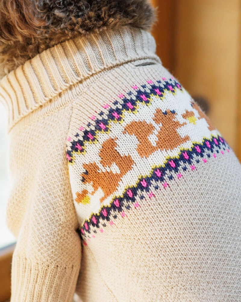 Squirrel Cable Knit Dog Sweater (FINAL SALE) Wear THE FOGGY DOG