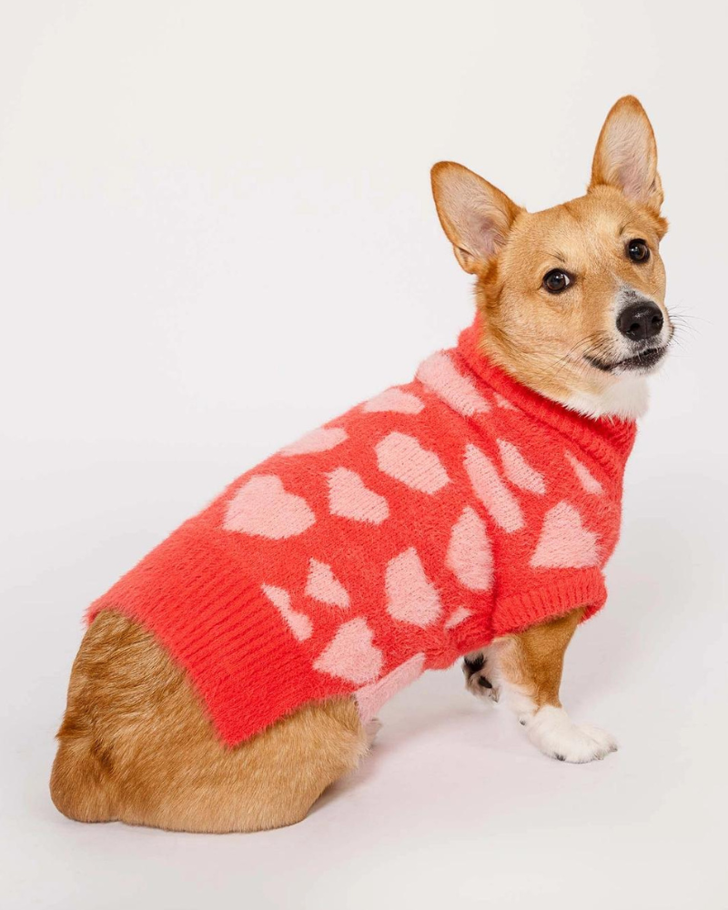 Hug Me Heart Dog Sweater (FINAL SALE) Wear THE FURRYFOLKS   