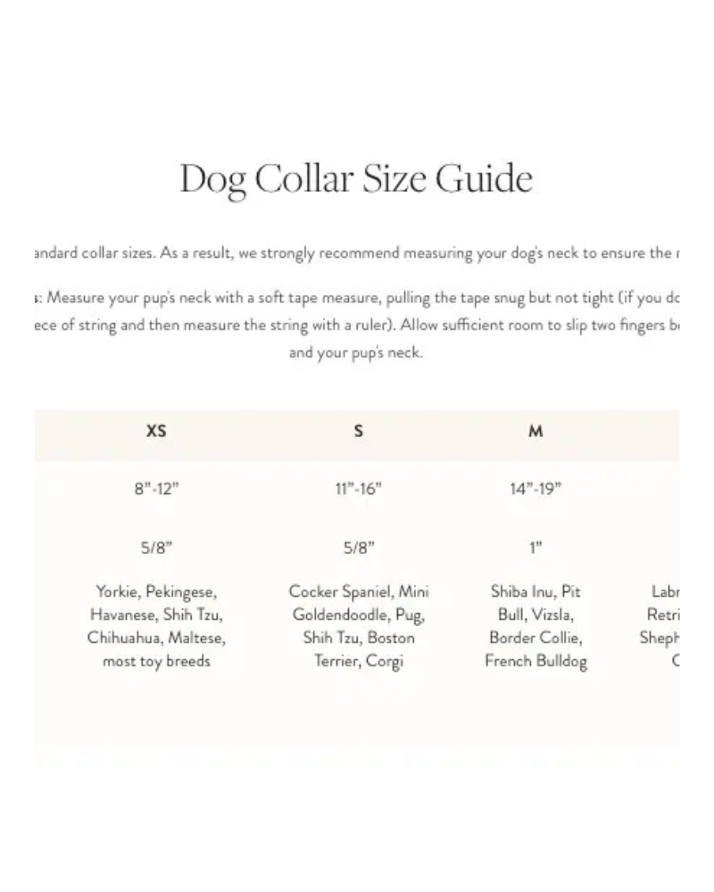 Burgundy Velvet Dog Collar WALK THE FOGGY DOG