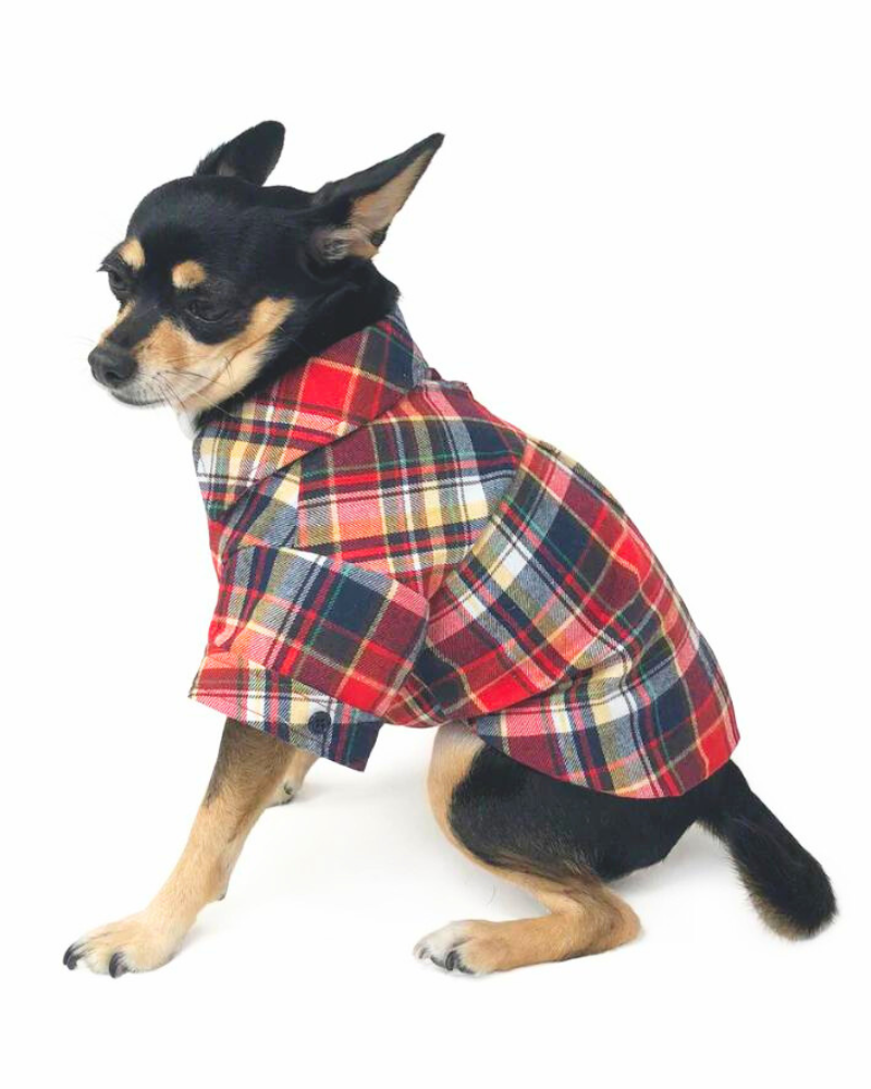 Flannel Plaid Button Down Shirt in Red (FINAL SALE) Wear DOGO   