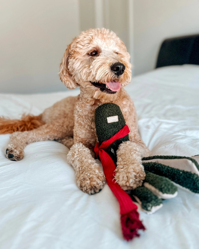 Tako Enrichment Holiday Dog Toy PLAY LAMBWOLF COLLECTIVE