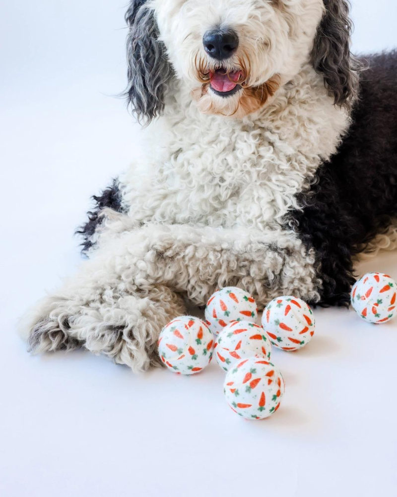 Cutest Carrots Tennis Ball (Mini or Regular Size) Play MIDLEE   