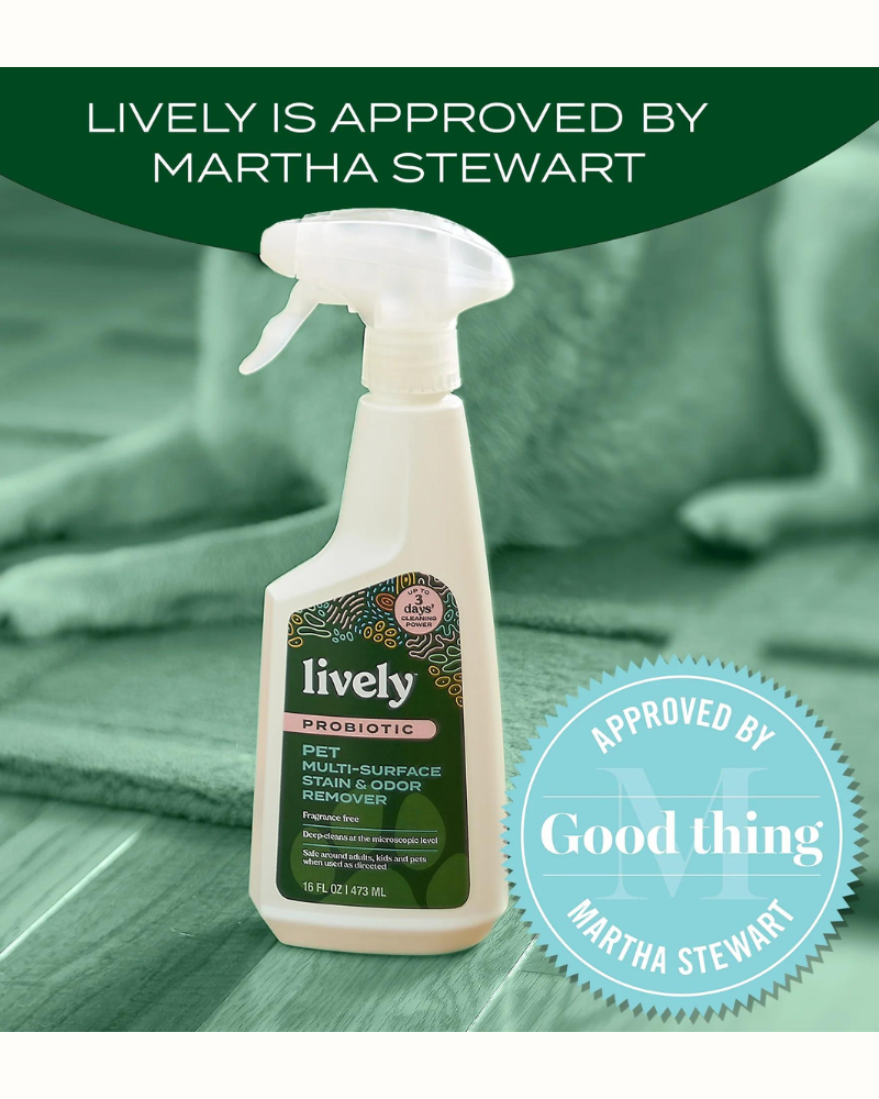 Lively Pet Probiotic Multi-Surface Stain & Odor Remover HOME LIVELY   