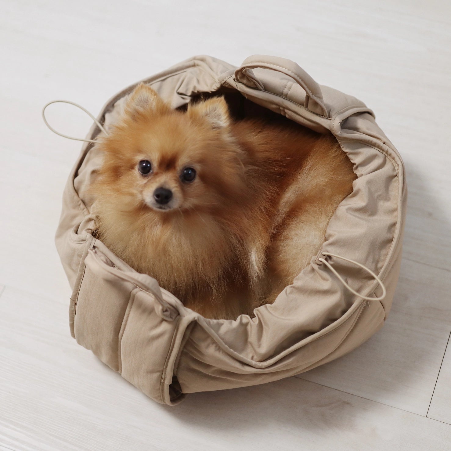LAMBWOLF COLLECTIVE | Olla Petite Pet Crossbody Bag in Fern | DOG