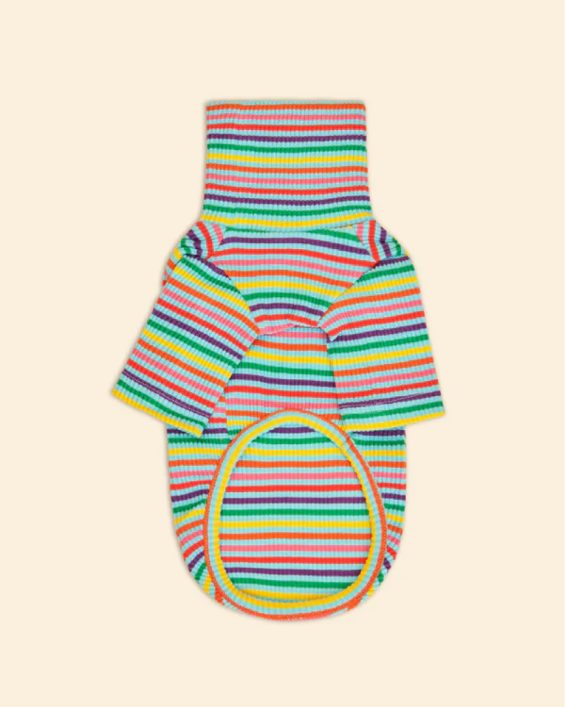 DOG CO Quality Pet Products In Store Online Dog co quality pet products in store online