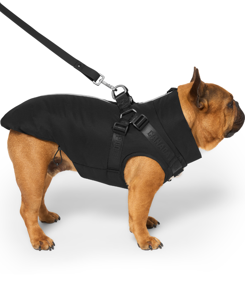 Complete Control Harness Winter Dog Jacket Wear CANADA POOCH