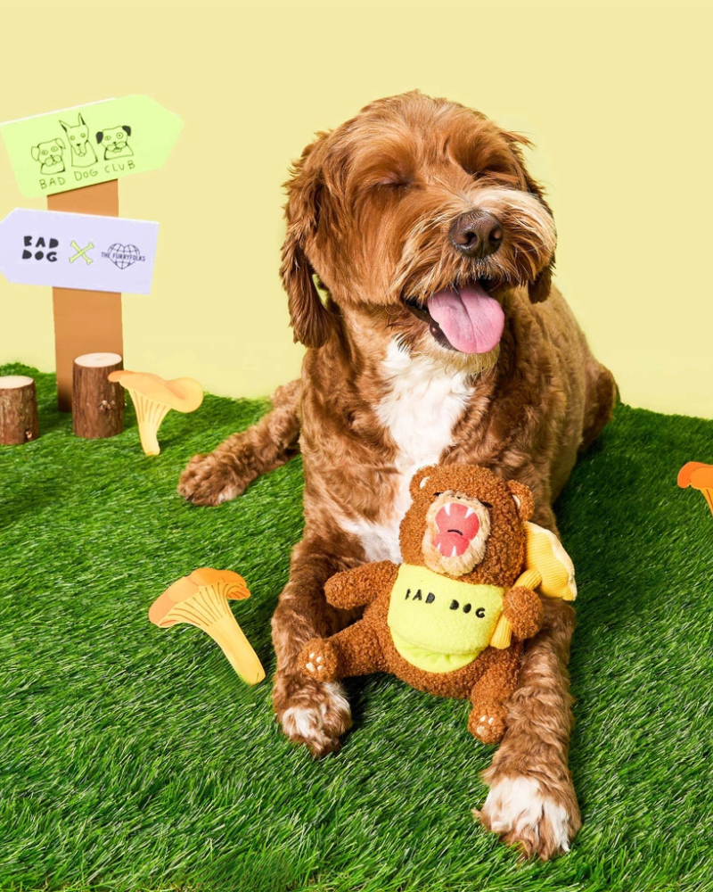 Bad Dog Bear Nosework Toy for Dogs Play THE FURRYFOLKS