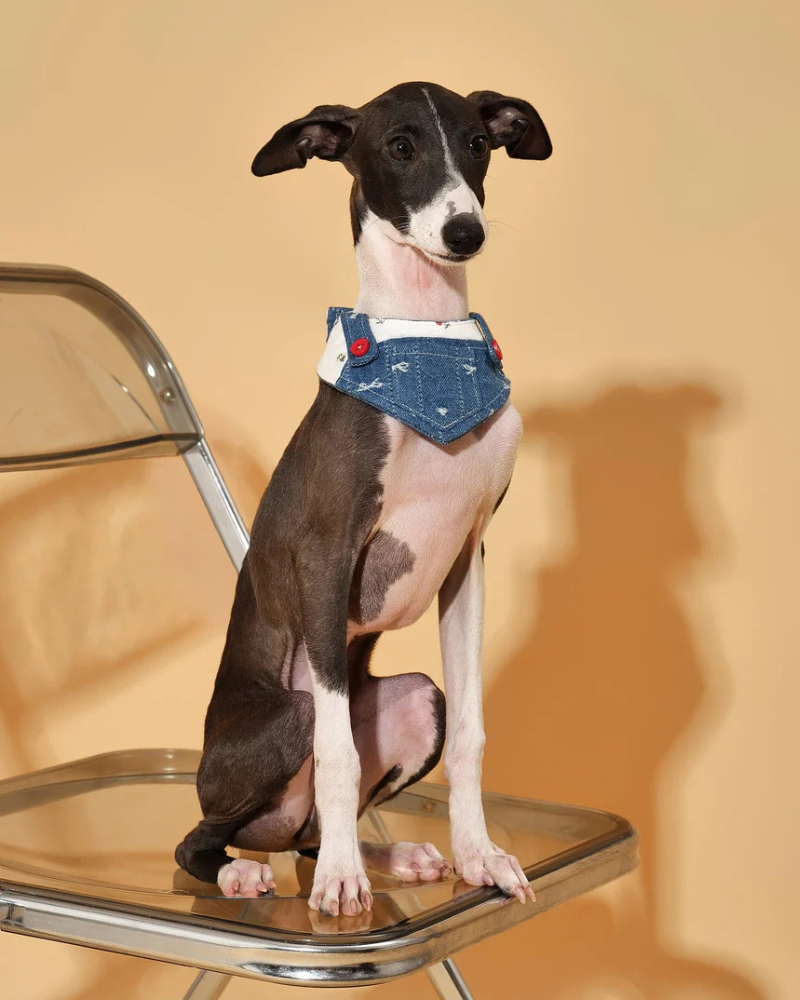 Reversible Denim Overalls Dog Bandana Wear BARKBARK BABY