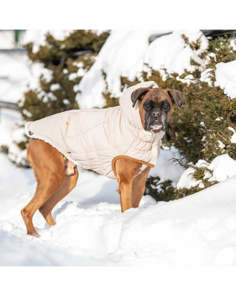 Arctic Dog Parka in Sand Wear GF PET   