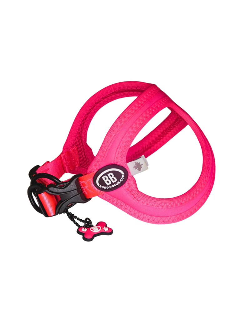 BUDDY BELTS | Buddy Belt Sport Harness for Dogs in Neon Pink | DOG BUDDY BELTS | Buddy Belt Sport Harness for Dogs in Neon Pink | DOG