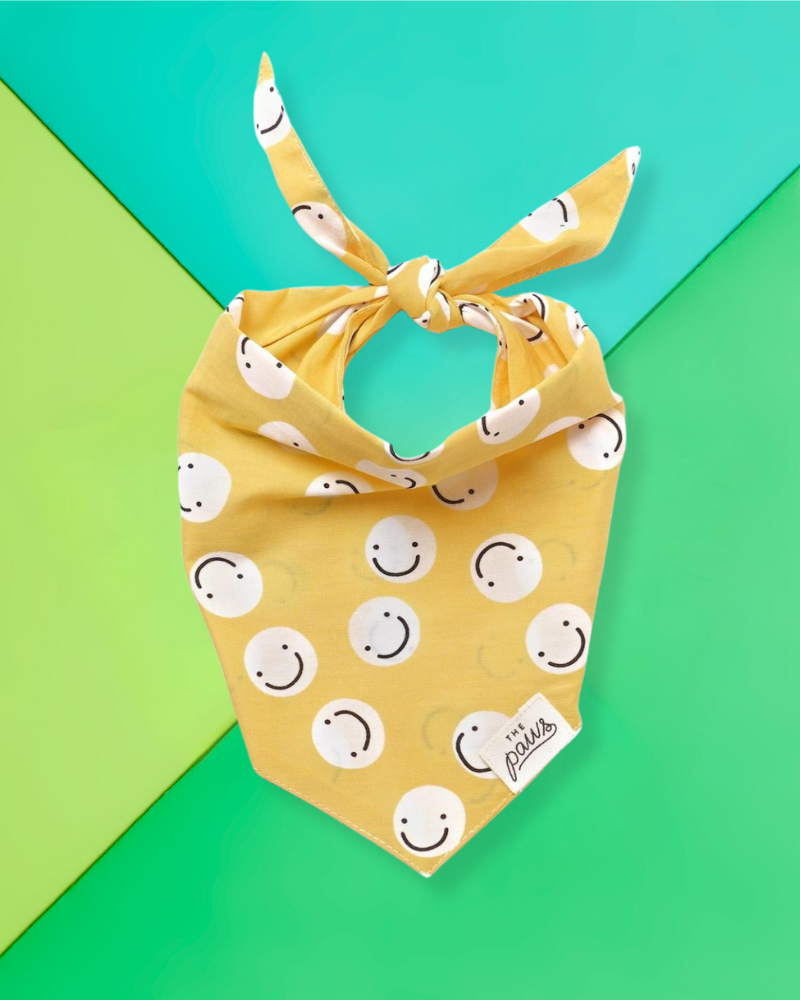 Smiley Friends Dog Bandana (FINAL SALE) Wear THE PAWS   