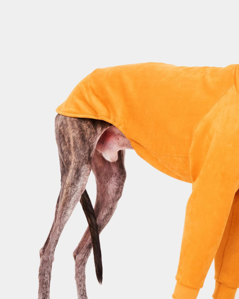 Long Sleeve Dog Turtleneck in Yellow (FINAL SALE) Wear FORGALGO   