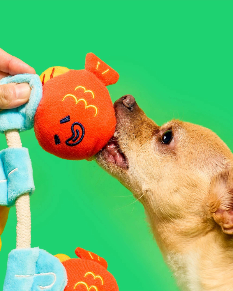 Fishing Nosework & Tug Dog Toy PLAY THE FURRY FOLKS