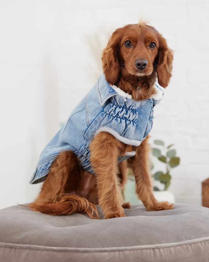 Northside Sherpa-Lined Denim Dog Jacket