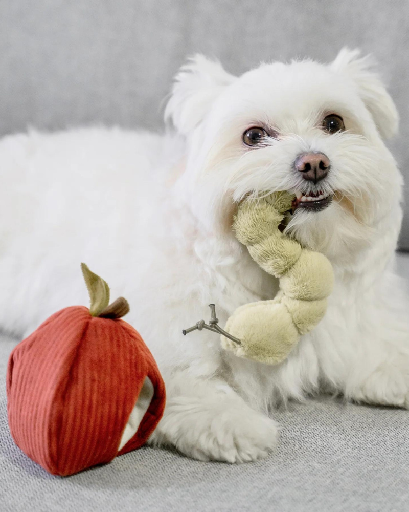 Apple Interactive Snuffle Dog Toy Play LAMBWOLF COLLECTIVE   