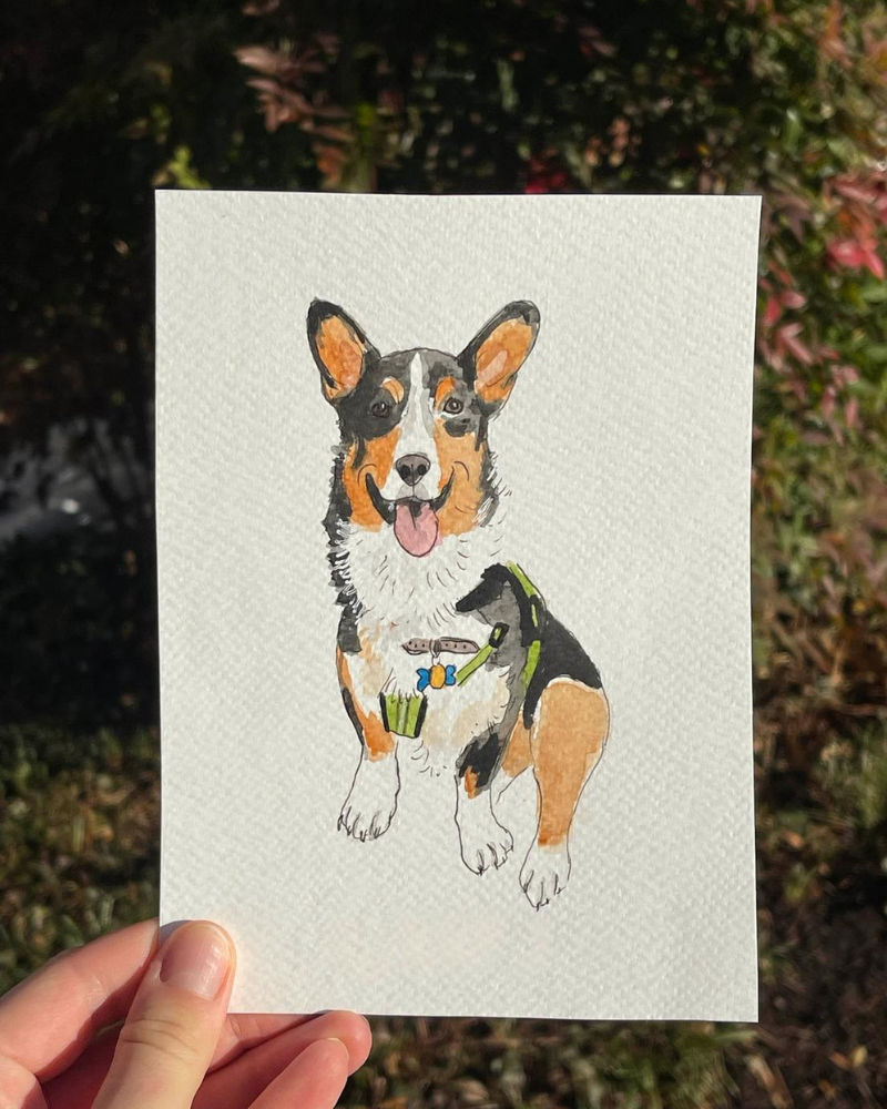 Custom Watercolor Pet Portrait (5x7) HOME Alexandra Schmeling Fine Art   