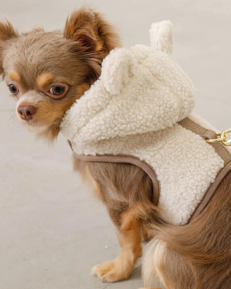 Fuzzy Bear Hoodie Dog Harness (FINAL SALE) WALK MONCHERI   
