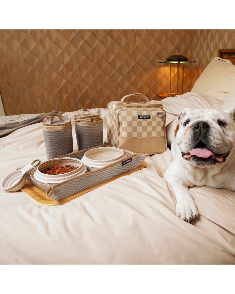 Bistro Box Dog Food Travel Kit in Check Eat CLEVERPUP