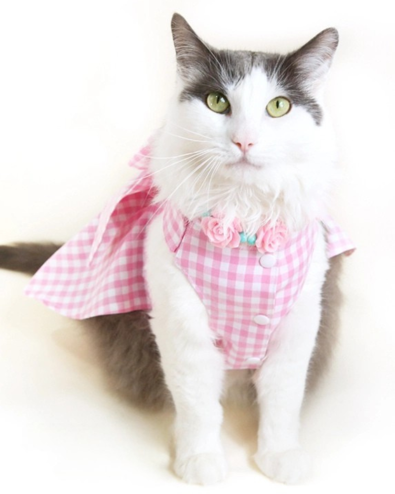Pink Gingham Dog Dress (Made in the USA) Wear ICECREAMTREE STUDIO