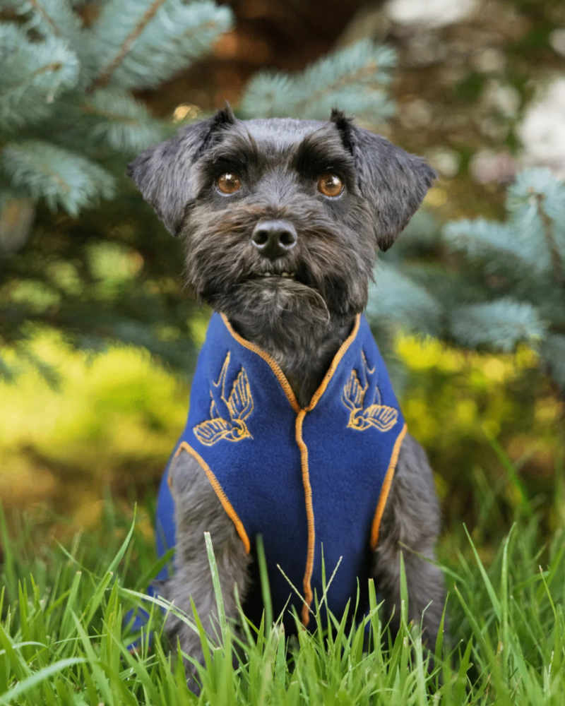 Limited Edition Embroidered Stretch Dog Fleece (Made in the USA) Wear GOLD PAW