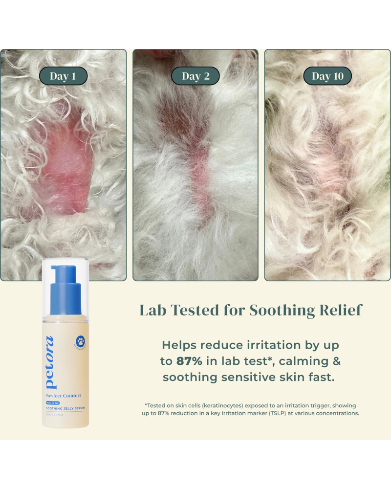 Pawfect Comfort Nose-to-Tail Soothing Jelly Serum for Dogs & Cats HOME PETORA