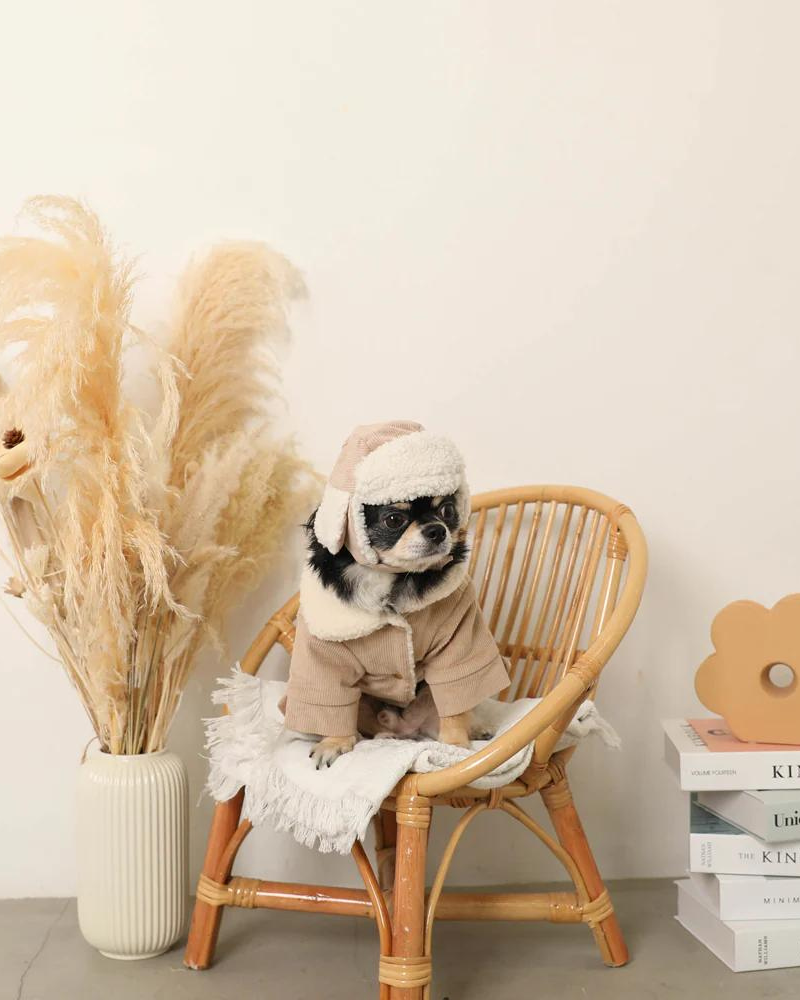Corduroy Pet Flight Cap Wear MONCHERI   