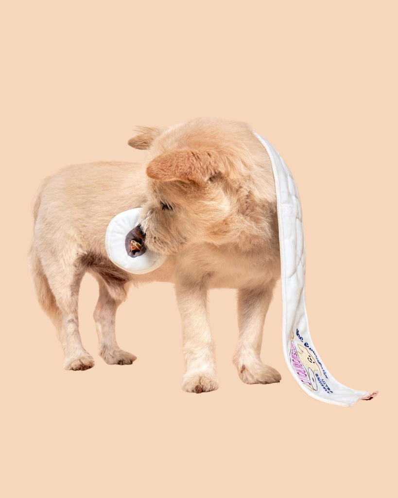 Toilet Paper Nosework Dog Toy Play THE FURRYFOLKS   