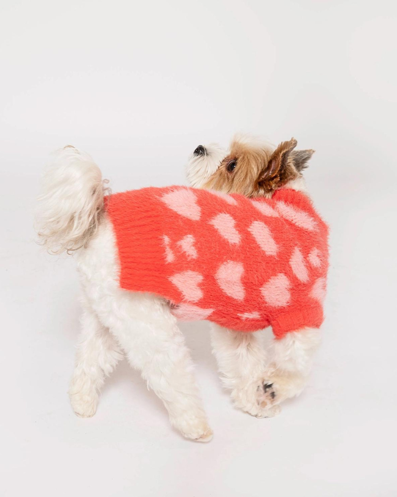 Hug Me Heart Dog Sweater (FINAL SALE) Wear THE FURRYFOLKS   