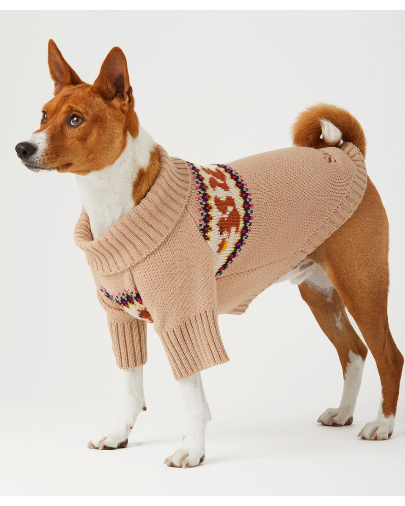 Squirrel Cable Knit Dog Sweater (FINAL SALE) Wear THE FOGGY DOG