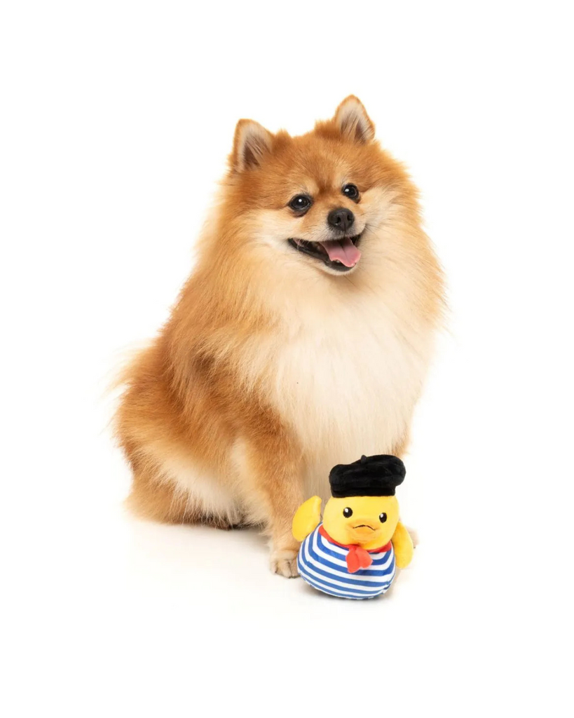 Timotheé Chalaquack Squeaky Plush Dog Toy PLAY FUZZYARD