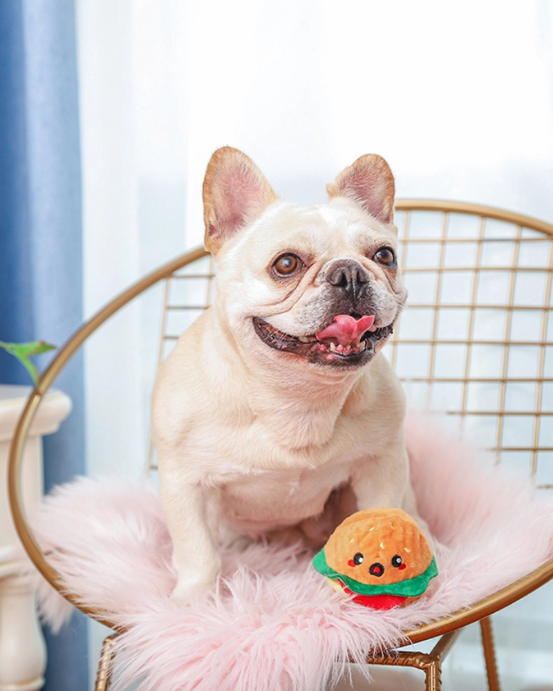 Hamburger Squeaky Ball Dog Toy Play HUGSMART