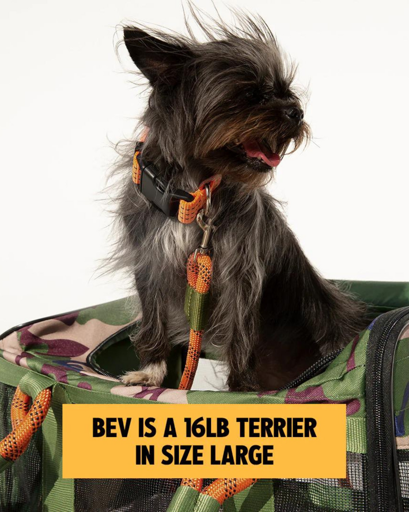 Out-Of-Offfice Pet Carrier Pro Edition in Camo with Orange Straps Carry ROVERLUND   