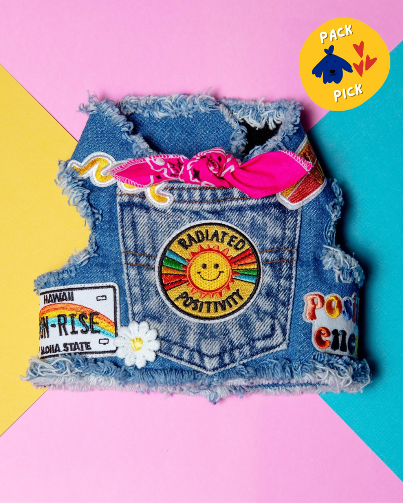 Sunshine Positivity Denim Dog Harness WALK HEADS OR TAILS PUP   